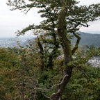 DSC_0162Be