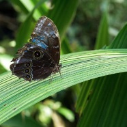 DSC_4049Be-2