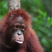 DSC_2512red