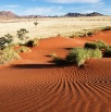 DSC_2844_Namibia