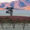 DSC_3029_Namibia