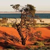 DSC_3139_Namibia2