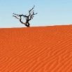 DSC_3159_Namibia2