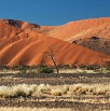 DSC_3303_Namibia