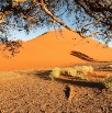 DSC_3361_Namibia
