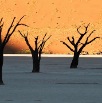 DSC_3445_Namibia