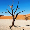 DSC_3488_Namibia