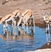 DSC_8245_Namibia
