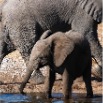 DSC_9416_Namibia