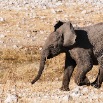 DSC_9506_Namibia2