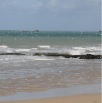 DSC_2411-2Be
