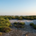 DSC_2310_Be_web