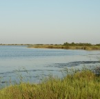 DSC_2337_Be_web