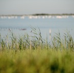 DSC_2343_Be_web