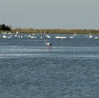 DSC_2409_Be_web