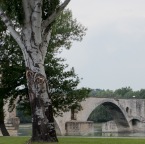 DSC_2414_Be_web